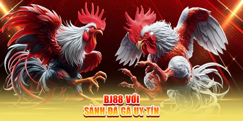 BJ88 với sảnh đá gà uy tín