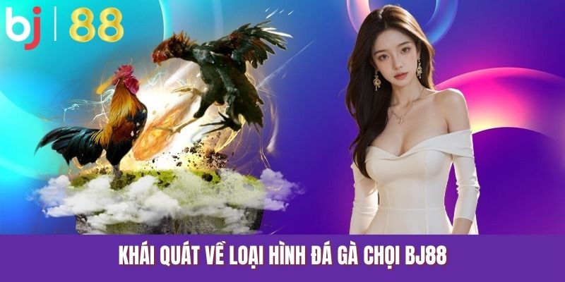 Khái quát về loại hình đá gà chọi BJ88