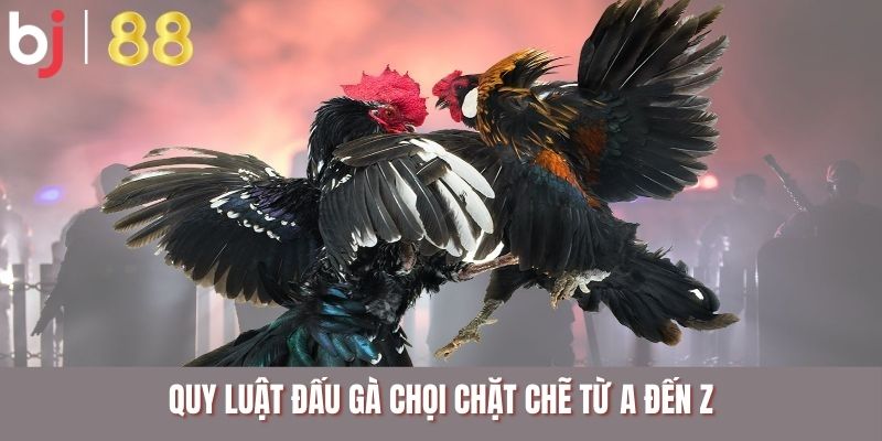 Quy luật đấu gà chọi chặt chẽ từ A đến Z