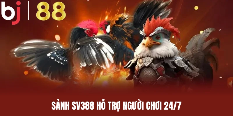 Sảnh SV388 tại BJ88 cung cấp dịch vụ hỗ trợ 24/7