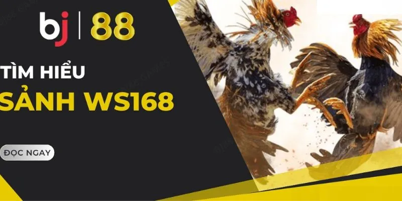 Khái quát sảnh WS168